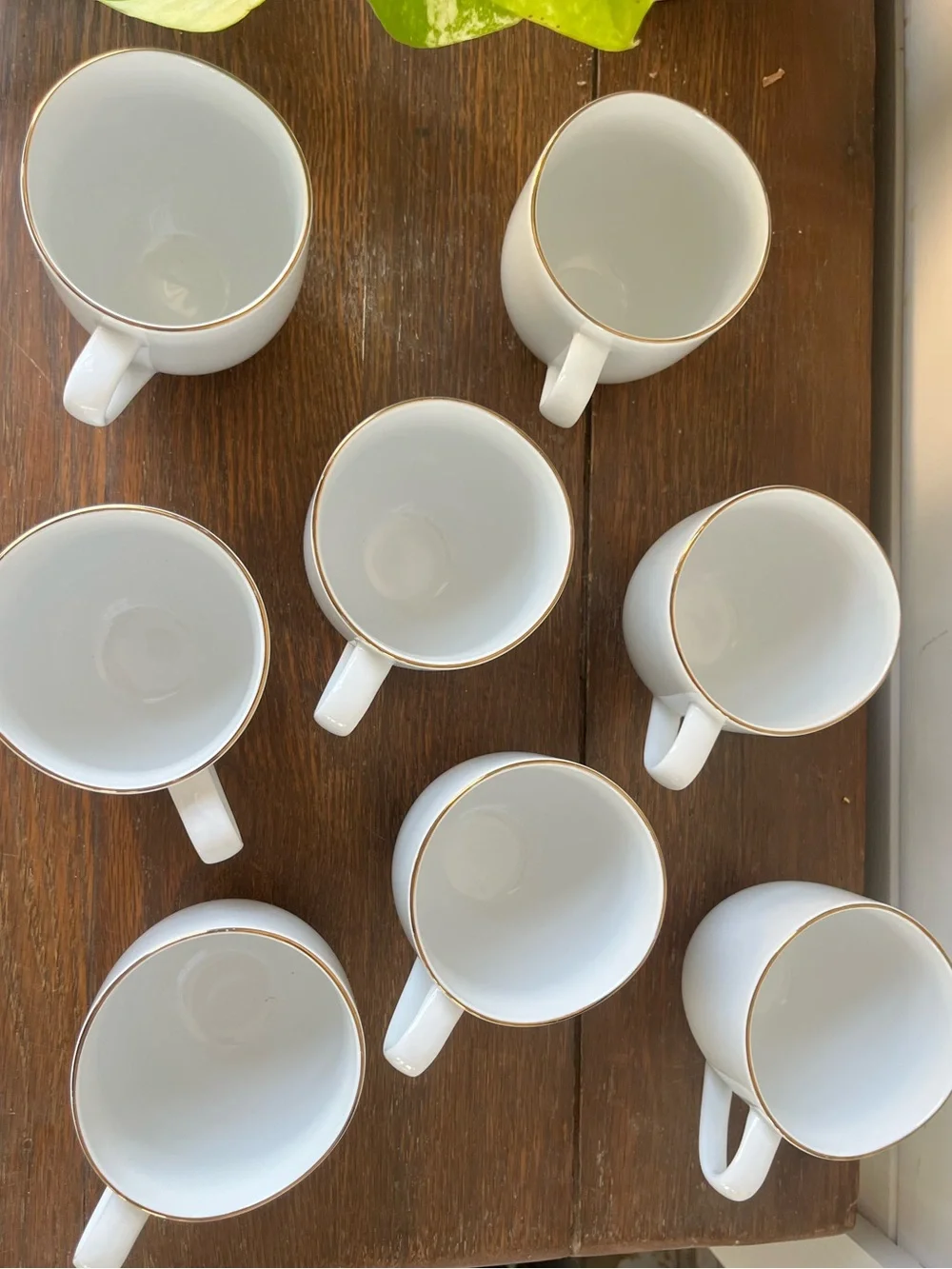 West Elm Organic white Porcelain Gold-Rimmed Mugs set of 8